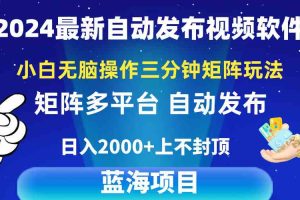 (10166期)2024最新视频矩阵玩法,小白无脑操作,轻松操作,3分钟一个视频,日入2k+