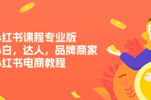 (11022期)小红书课程专业版,小白,达人,品牌商家,小红书电商教程(15节)