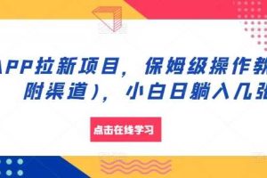APP拉新项目，保姆级操作教程(附渠道)，小白日躺入几张【揭秘】