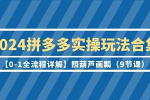 2024拼多多实操玩法合集【0-1全流程详解】照葫芦画瓢（9节课）