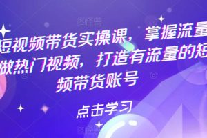 热门短视频带货实操课,掌握流量密码,做热门视频,打造有流量的短视频带货账号