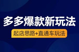 海神·多多爆款新玩法,起店思路+直通车玩法(3节精华课)