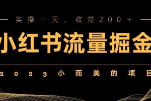 2023小而美的项目,小红书流量掘金,实操一天,收益200+【揭秘】