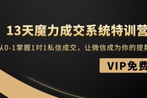 13天魔力成交系统特训营：从0-1掌握1对1私信成交，让微信成为你的提款机