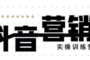 红人星球《12天线上抖音营销实操训练营》通过框架布局实现自动化引流变现（无水印）