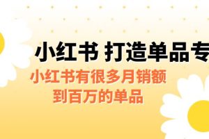 某公众号付费文章《小红书 打造单品专家》小红书有很多月销额到百万的单品