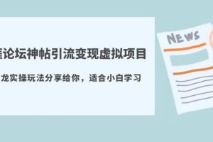 天涯论坛神帖引流变现虚拟项目，一条龙实操玩法分享给你（教程+资源）