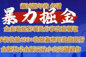 （13675期）2025暴力掘金项目，想过肥年必看！