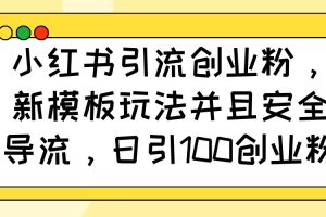 （14053期）小红书引流创业粉，新模板玩法并且安全导流，日引100创业粉