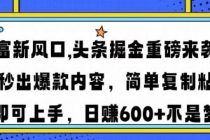 （14434期）财富新风口,头条掘金重磅来袭AI秒出爆款内容简单复制粘贴即可上手，日…