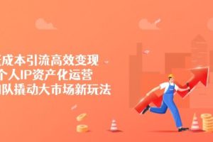 （14555期）低成本引流高效变现，个人IP资产化运营，小团队撬动大市场新玩法