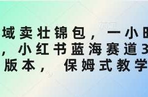 私域卖壮锦包，一小时3张，小红书蓝海赛道3.0版本， 保姆式教学
