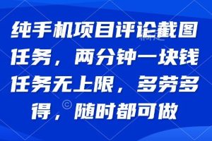 （14591期）纯手机项目评论截图任务，两分钟一块钱 任务无上限多劳多得，随时随地…