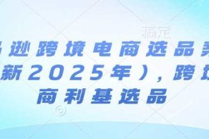 亚马逊跨境电商选品案例(更新2025年4月)，跨境电商利基选品