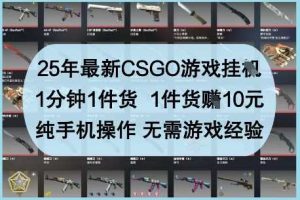 25年最新CSGO游戏挂G，1分钟1件货，1件货挣10元，纯手机操作，无需游戏经验【揭秘】