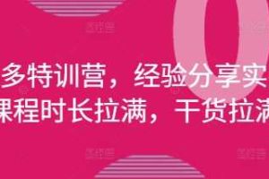 拼多多特训营，经验分享实操，课程时长拉满，干货拉满(更新25年4月)
