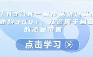 小红书3分钟一条作品精准引流创业粉300+，打造属于自己的流量帝国