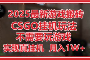 （14743期）2025最新游戏搬砖，CSGO挂机，不需要玩游戏，实现真挂机，月入1W+