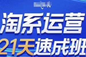 淘系运营21天速成班(更新25年7月)，0基础轻松搞定淘系运营，不做假把式