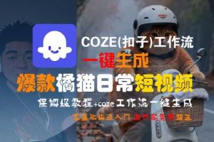 COZE(扣子)工作流一键生成爆款橘猫日常短视频，保姆级教程，零基础快速入门