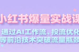 小红书爆量实战课，通过AI工作流、投流优化等前沿技术突破流量瓶颈