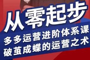 拼多多运营进阶系统课，从零起步，多多运营进阶体系课，破茧成蝶的运营之术
