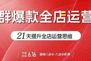 贾真电商群爆款全店运营，21天提升全店运营思维，起店、全店运营爆款不断