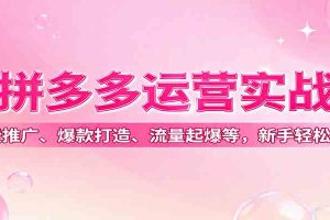 拼多多运营实战，付费推广、爆款打造、流量起爆等，新手轻松起店