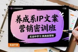 养成系IP文案营销密训班，实战中学习真高级营销