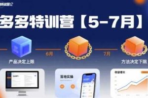 多多特训营,产品决定上限,方法决定下限,各种玩法技巧落地实操(更新)