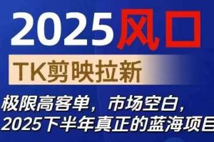 2025风口TK剪映capcut拉新项目,极限高客单,市场空白,2025下半年真正的蓝海项目