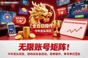无限账号矩阵!今年龙头项目,游戏试玩全自动,简单操作,单号单日5张【揭秘】