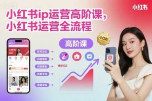 小红书ip运营高阶课，小红书运营全流程