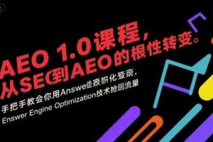 AEO 1.0 课程,从SEO到AE0的基命性转变,手把手教会你用AnswerEngineOptimization技术抢回流量(更新)