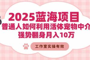 (16489期)2025蓝海项目:普通人如何利用活体宠物中介,强势翻身月入10万