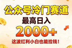 公众号冷门赛道,最高日入1k+,这波红利小白也能捡钱!