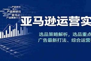 亚马逊运营实操，选品策略解析，选品重点方法、广告最新打法、综合运营技巧等