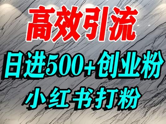 怎么打创业粉？小红书预算3000项目推荐引流精准创业粉，单人操作日引500+精准创业粉