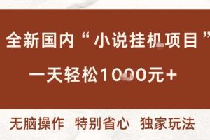 全新国内小说挂G项目,多窗口无脑跑,一天轻松1k+,特别省心【揭秘】