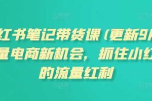 小红书笔记带货课，流量电商新机会，抓住小红书的流量红利(更新26年2月)