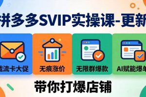 (18045期)拼多多SVIP实操课-26年4月,截流卡大促+无痕涨价+无限群爆款+AI赋能爆单新玩法,带你打爆店铺