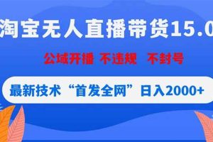 (18562期)淘宝无人直播带货15.0,不封号,不违规,公域玩法,首发全网日入2000+