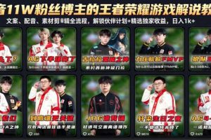 抖音11W粉丝博主的王者荣耀游戏解说教程，文案、配音、素材剪辑全流程，解锁伙伴计划+精选独家收益，日入1k+