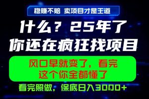 26年，请不要疯狂的找项目做了！卖项目才是真的稳賺不赔，看完照做，保底日入1k+【揭秘】