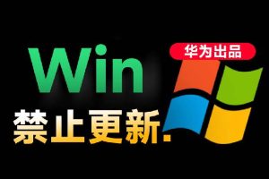 (19151期)Win10/11系统永久禁止更新!华为出品小工具,避免频繁更新Win系统出问题,电脑必备工具Win系统禁止更新