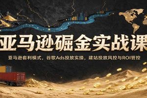 亚马逊掘金实战课：亚马逊套利模式，谷歌Ads投放实操，建站投放风控与ROI管控