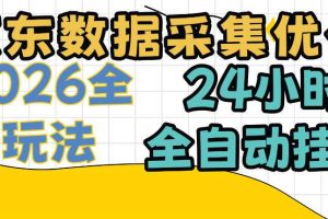 京东数据采集优化,单机日入300+,24小时纯挂G项目,适合所有人群【揭秘】