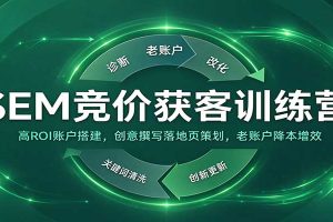 SEM竞价获客训练营:高ROI账户搭建,创意撰写落地页策划,老账户降本增效