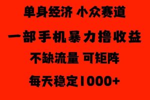 26年暴力单身经济,稳定日入500-1k,不缺流量,流量极大,冷门小众赛道,门槛低小白轻松上手【揭秘】