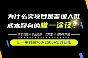 普通人如何靠互联网賺取自己的第一桶金！全类目实操型教学，看完你全都懂了！【揭秘】